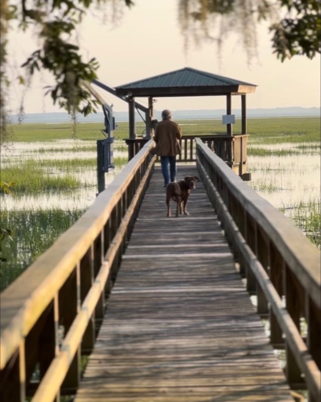 A walker and a dog head down a long wooden dock over the Lowcountry marsh at golden hour, live oaks and Spanish moss overhead